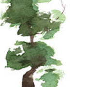 Little Zen Tree 170 Art Print