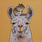 Llois The Llama Art Print