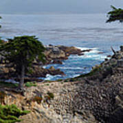 Lone Cypress Art Print