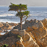 Lone Cypress - The Icon Of Pebble Beach California Art Print