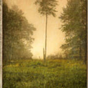 Lone Fog Tree In The Meadow Art Print
