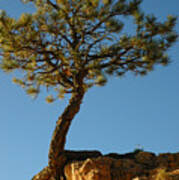 Lone Tree And Moon In Bryce Canyon Art Print