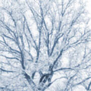 Lonely Oak Tree In Snowy, Misty Landscape Art Print