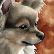 Long Coat Chihuahua Art Print