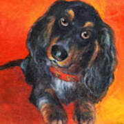 Long Haired Dachshund Dog Puppy Portrait Painting Art Print