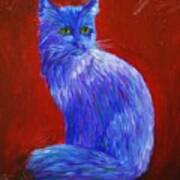 Longhaired Blue Cat Art Print