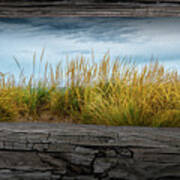 Looking At Beach Grass Between The Fence Rails Art Print