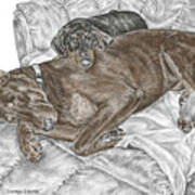 Lounge Lizards - Doberman Pinscher Puppy Print Color Tinted Art Print