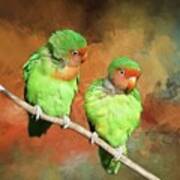 Lovebirds Art Print