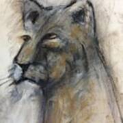 Lovely Lioness Art Print