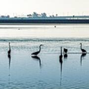 Low Tide Gathering Art Print