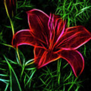 Luminous Lily Art Print