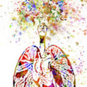 Lungs With Flowers Art Print