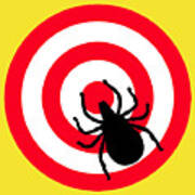 Lyme Disease Ixodes Tick On Target Art Print