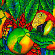 Macaw And Oranges - Exotic Bird Art Print