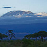 Magnificent Kilimanjaro Art Print
