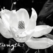 Magnolia Strong- By Linda Woods Art Print