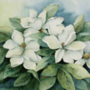 Magnolias #2 Art Print