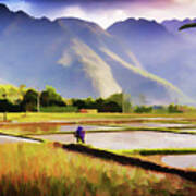 Mai Chau Paddy Field Art Print