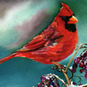 Male Cardinal And Snowy Cherries Art Print