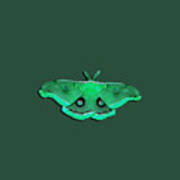 Male Moth Green .png Art Print