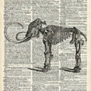 Mammoth Elephant Bones Over A Antique Dictionary Book Page Art Print