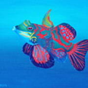 Mandarin The Fish Art Print