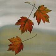 Maples In Fall Art Print