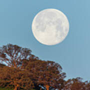 March Moonset Art Print