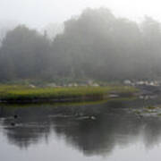 Marsh Reflecting In Fog Art Print
