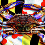 Maryland Blue Crab Art Print