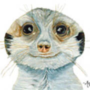 Meerkat Art Print