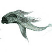 Megic Fish 1 Art Print