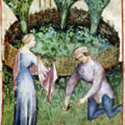 Melons, 14th Century Art Print