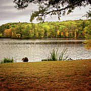 Menominee River In Autumn Art Print