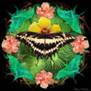 Metamorphosis Art Print