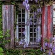 Mill Window Framed By Wisteria Art Print