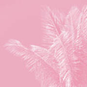 Millennial Pink Illumination Of Heart White Tropical Palm Hawaii Art Print