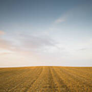 Minimalistic Landscape With Meadow Wheat Field Art Print