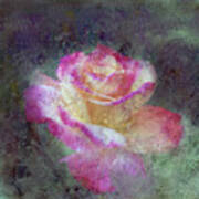 Mirage Rose Art Print