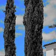 Modern Suburban House Hayward Hills With Cedar Trees Hayward California 36 Art Print