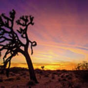 Mojave Desert Sunset Art Print