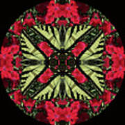 Monarch On Dianthus Kaleidoscope Art Print