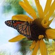 Monarch With Sunflower Art Print