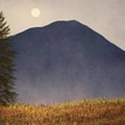 Moonlit Mountain Meadow Art Print