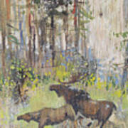 Moose Couple In The Wood Art Print