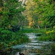 Morning Comes To The Marsh Art Print