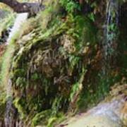 Moss And Waterfalls Art Print