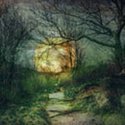 Mossy Trail At Nightfall Art Print