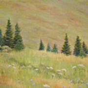 Mountain Meadow Art Print